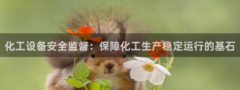 新城平台分分彩