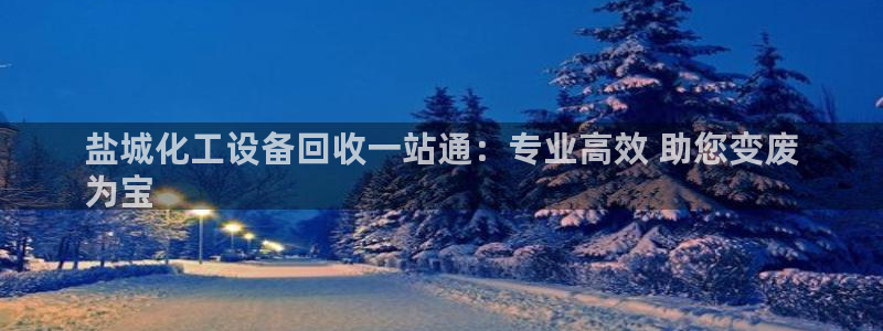 新城平台属于哪个系列