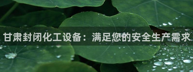 新城平台登录入口官网下载
