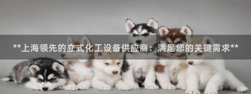 新城平台线路登录不上去