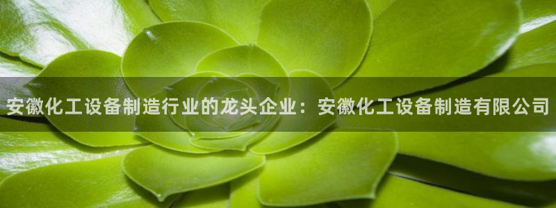新城平台是干嘛的公司有哪些