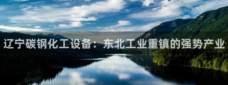新城平台登录入口官网下载安装