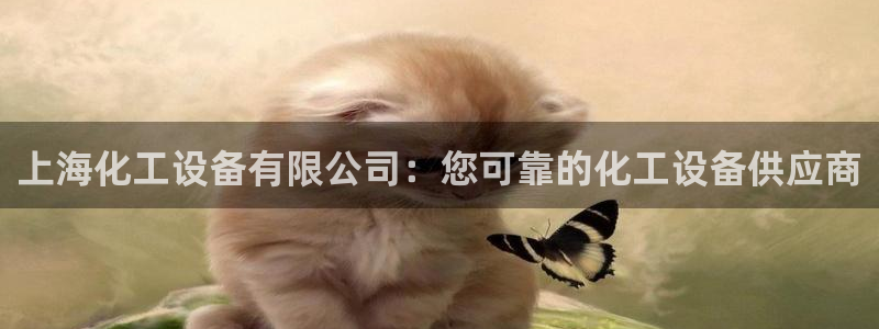 新城平台官网首页入口