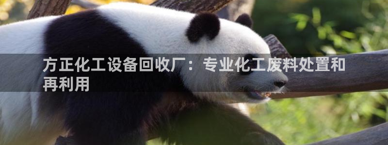 新城平台负责人电话