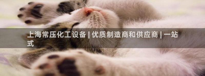 新城平台登录入口网站