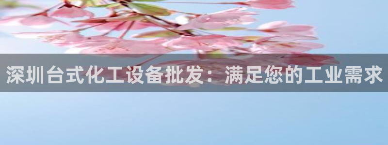 新城平台登录密码忘了怎么找回
