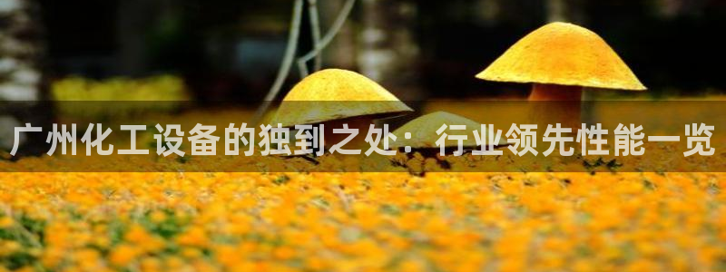 新城平台日7O777