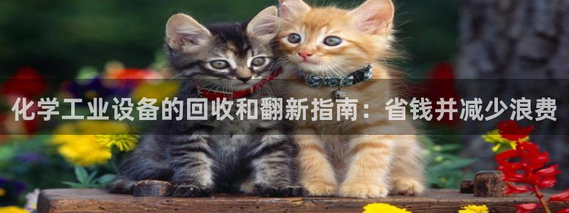 新城平台注册登录地址是什么