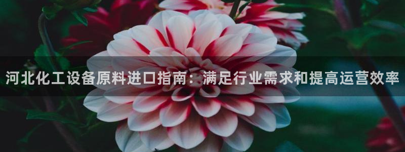 新城平台官网首页