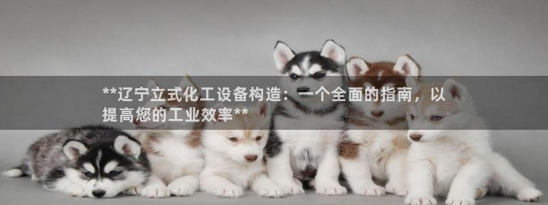 新城平台注册网址查询