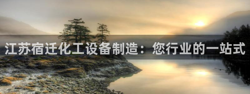 新城平台登录入口官网查询信息