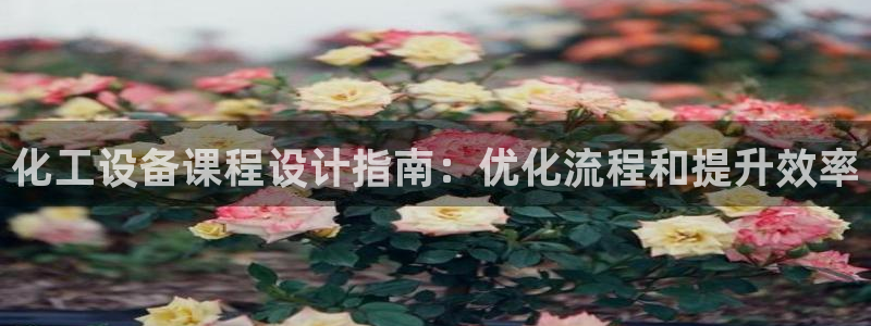 新城平台注册资金多少钱：化工设备课程设计指南：优化