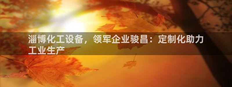 新城平台登录密码忘了怎么改：淄博化工设备，领军企业
