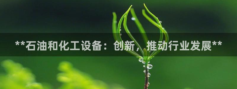 新城平台负责人是谁