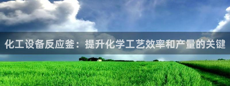新城平台注册公司流程及费用