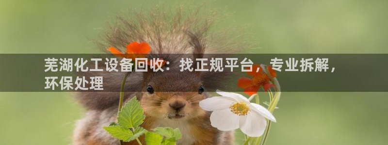 新城平台注册流程图：芜湖化工设备回收：找正规平台，
