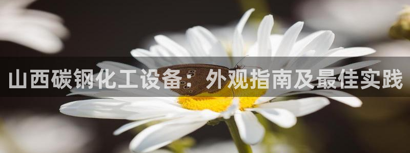 新城平台绝7O777：山西碳钢化工设备：外观指南及