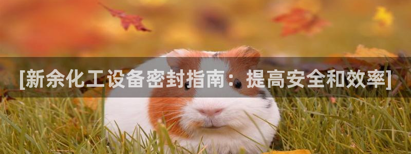 新城平台登录入口官网网址：[新余化工设备密封指南：