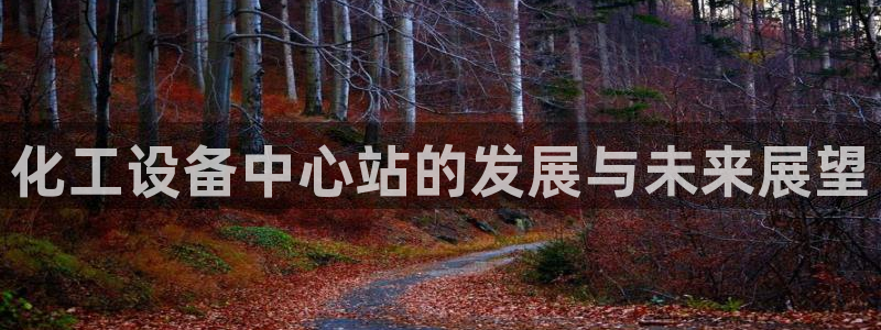 新城平台负责人电话