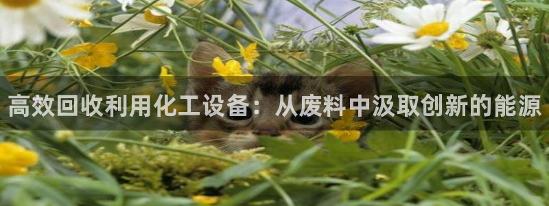 新城平台官网首页