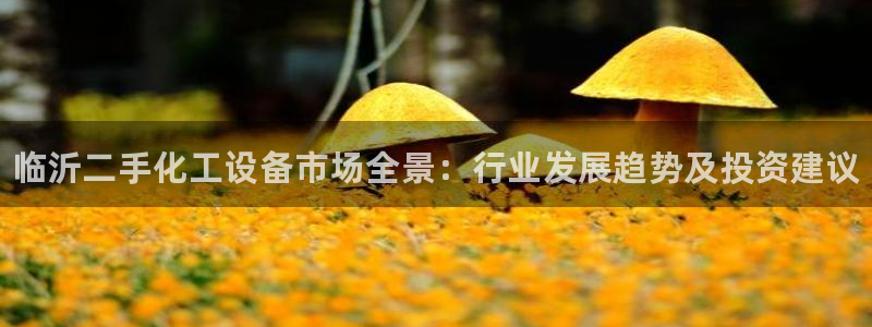 新城平台登录密码忘了