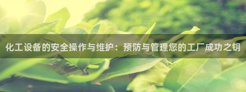 新城平台登录密码忘了怎么办