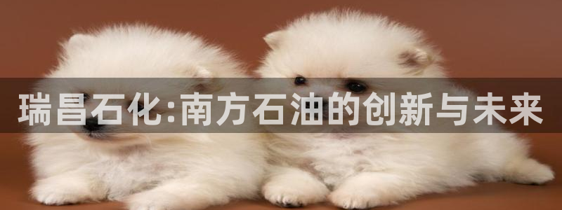 新城平台官网注册入口