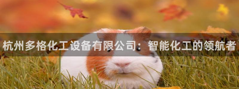 新城平台平台最新活动信息