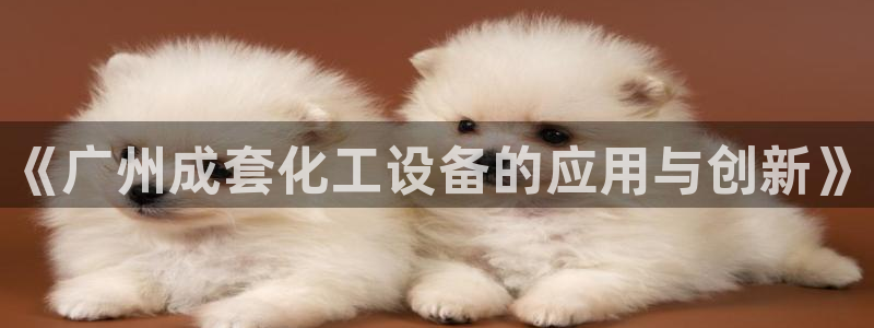 新城平台登录入口官网下载手机版