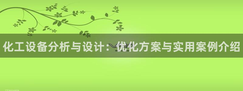 新城平台登录入口网站：化工设备分析与设计：优化方案