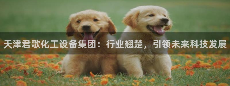 新城平台官网首页入口